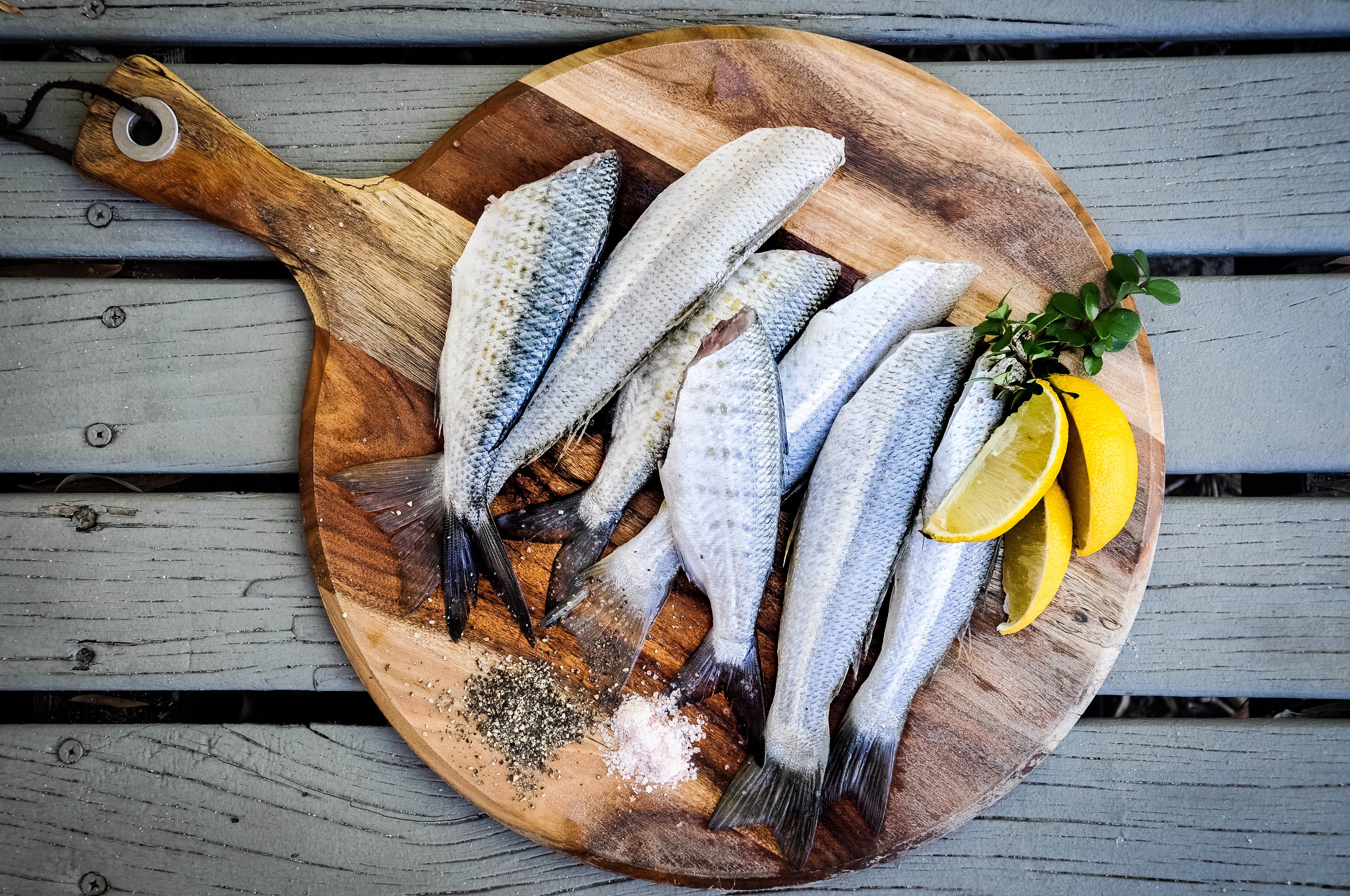 A Home Dehydrator Will Change How You Adventure