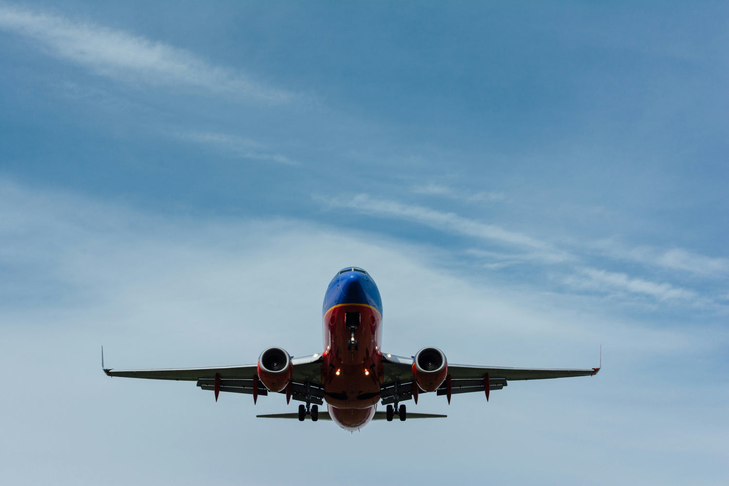 Can You Bring Beef Jerky on a Plane?